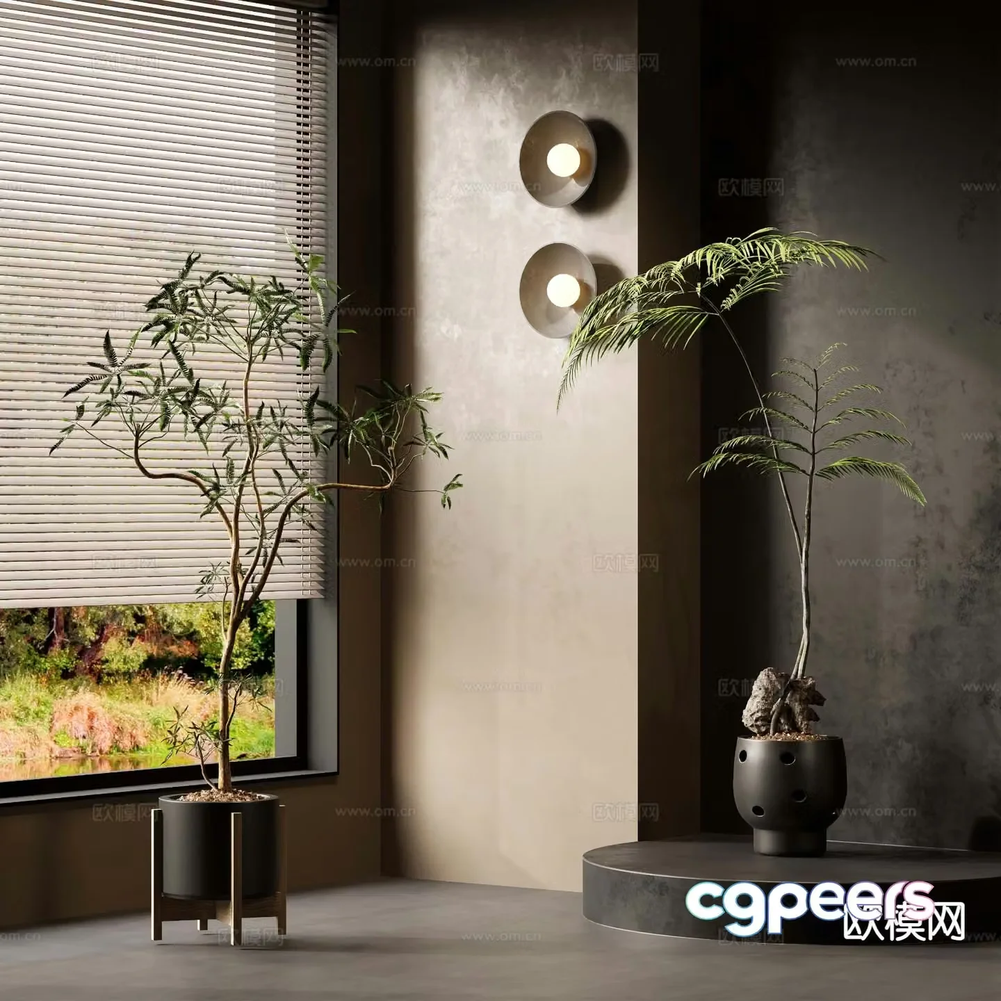 Potted plants Bonsai Green plants 3D model
