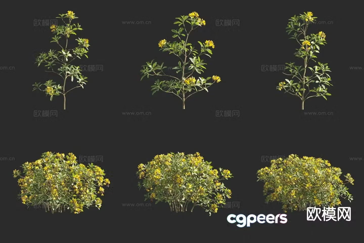 Flowers and plants Yellow flower azalea 3d model
