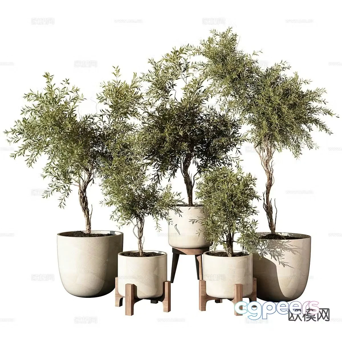 Modern potted plant fern potted plant 3d model