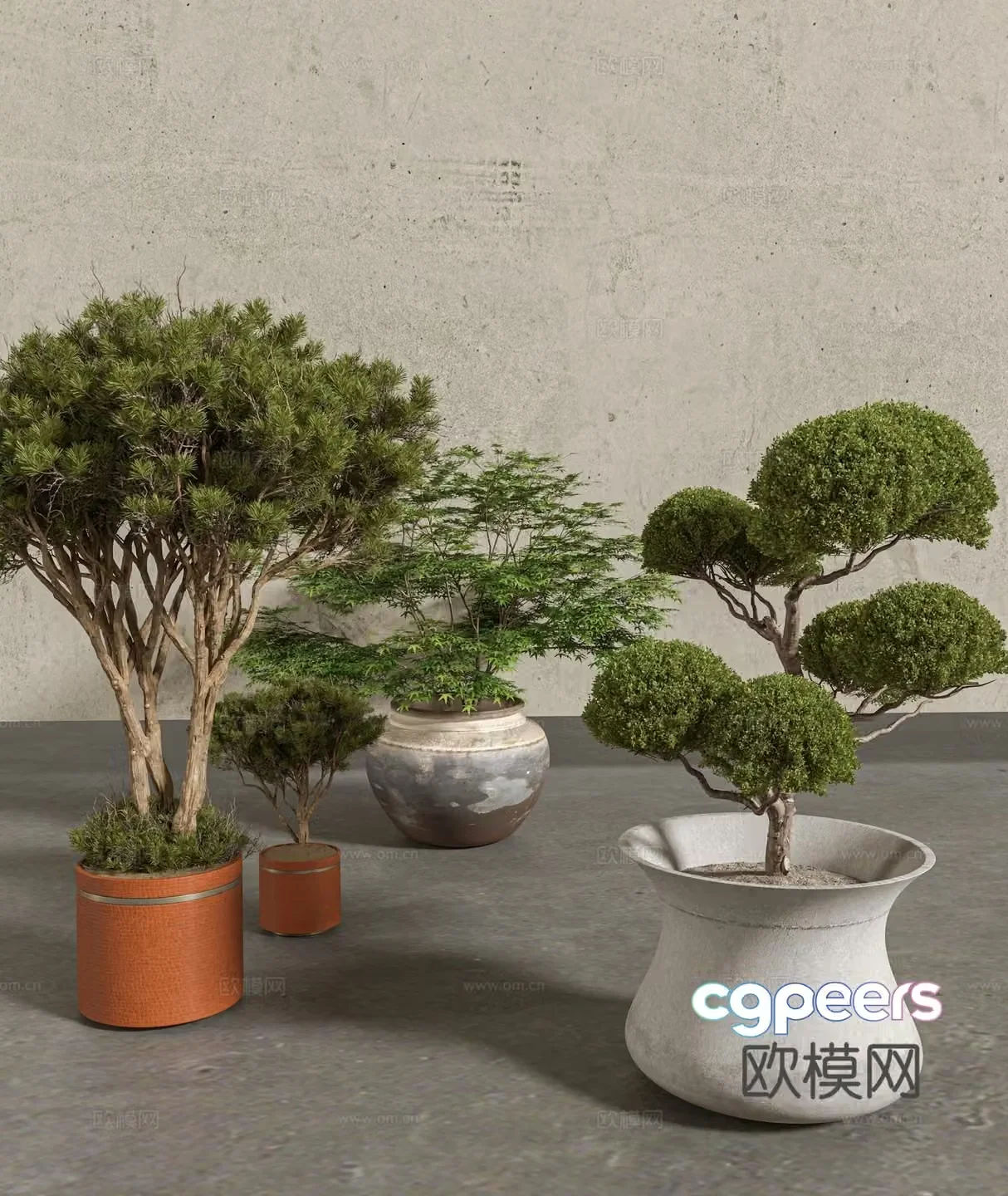 Chinese potted green plant 3d model