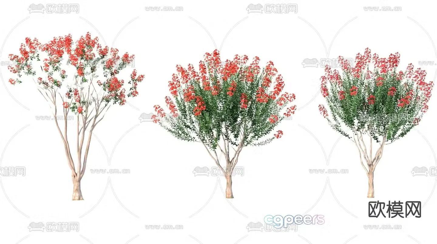 Red flower crape myrtle landscape tree flower tree 3d model