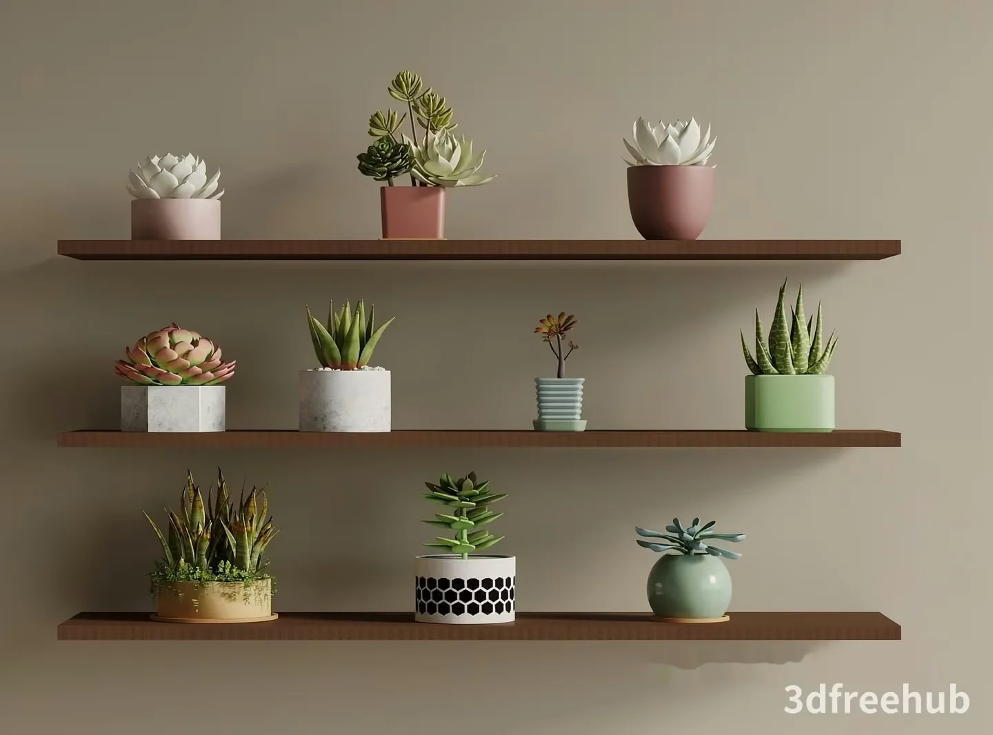 Succulent Plants On Shelves 3D Model – 22926 – VRAY Render