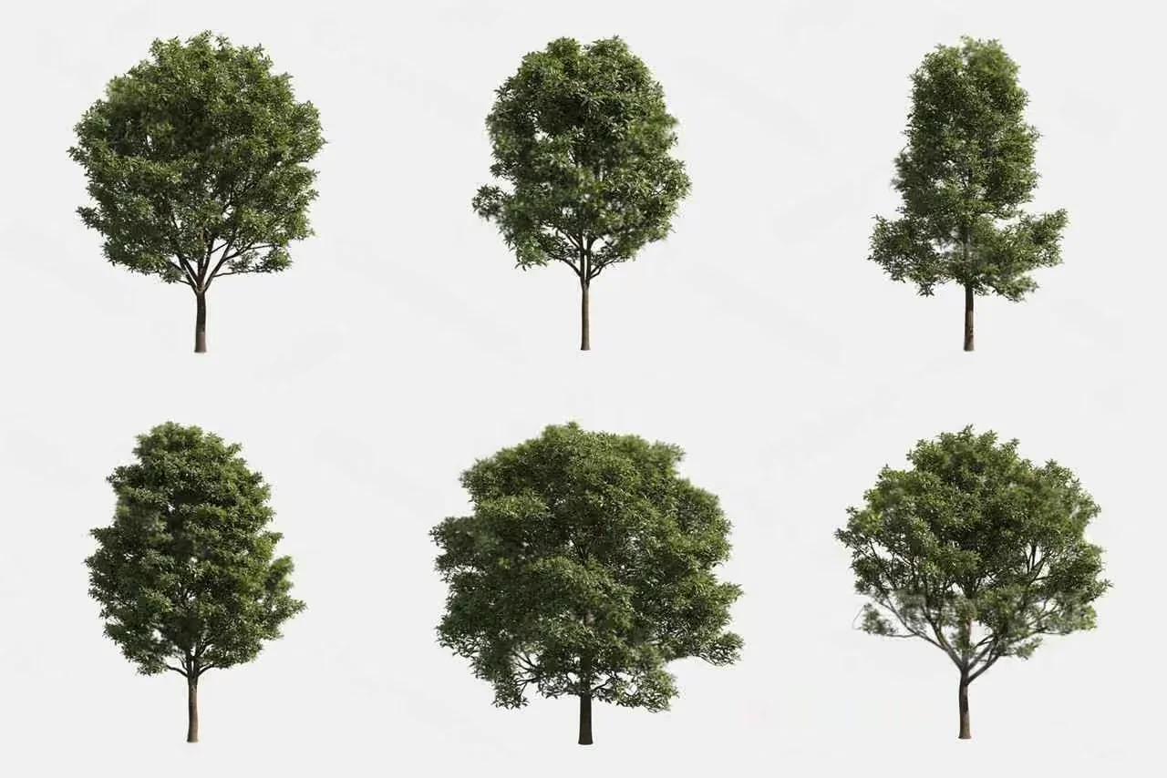 Trees. They Are Green 3D Model – 15119 – VRAY Render