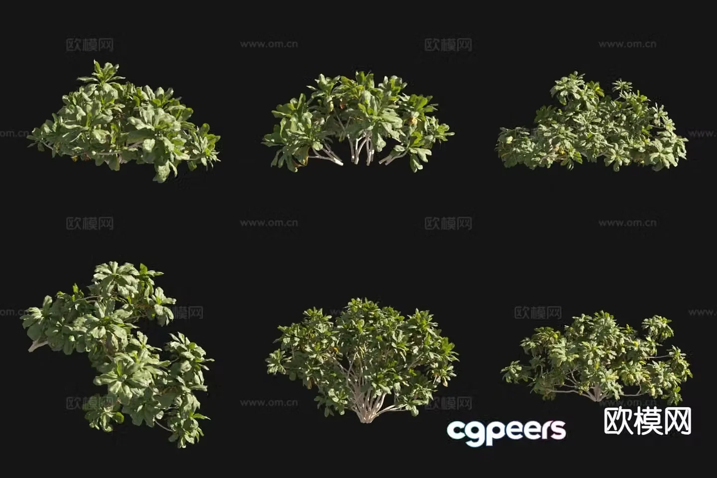 Grass Pottos Landscape Tree 3D Model