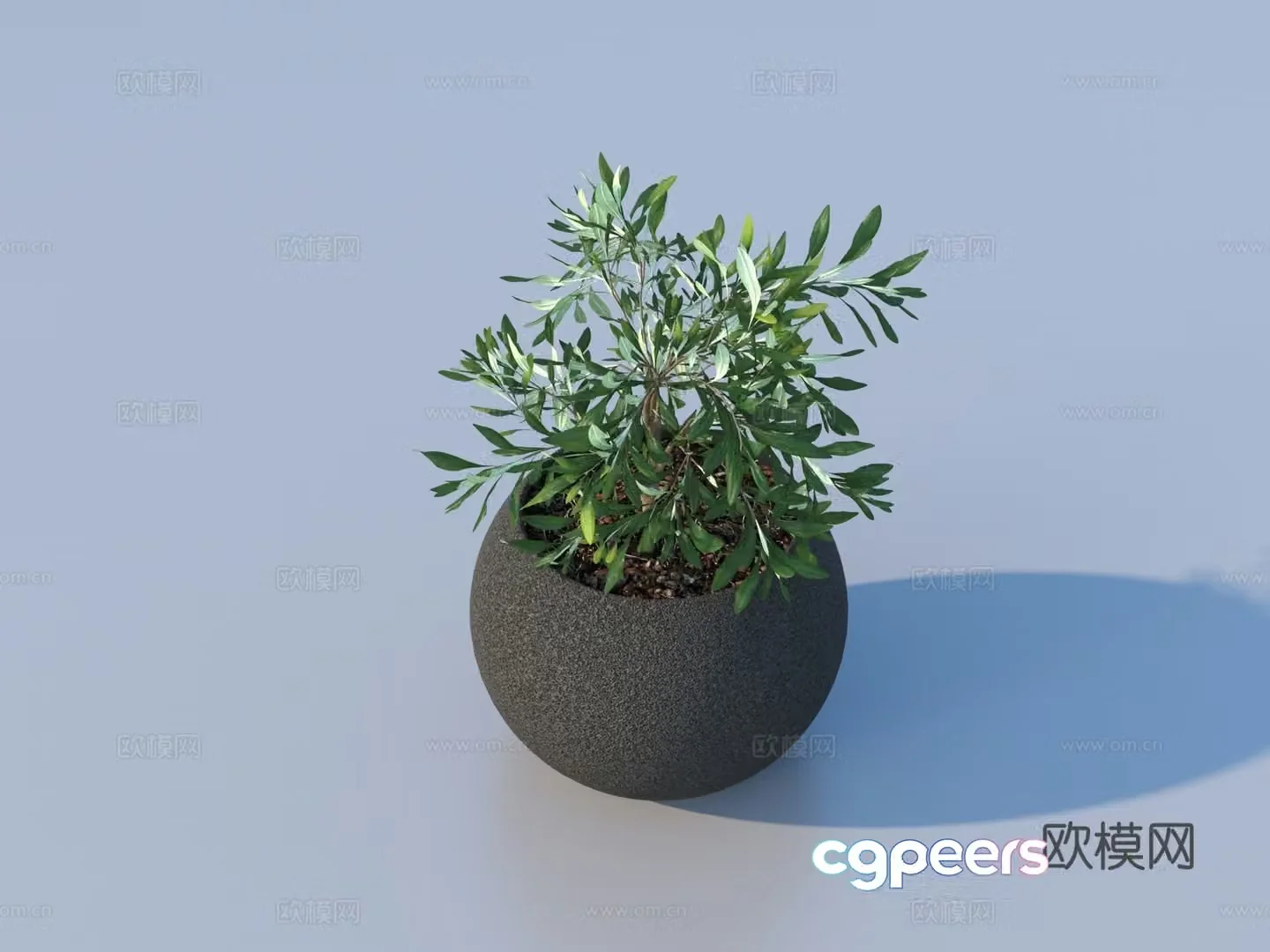 Flower pot pot green plants plant 3d model
