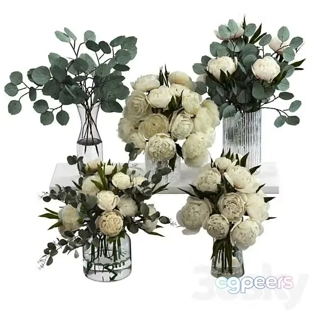 3ds Max Free – Bouquets of Eucalyptus and Peonies