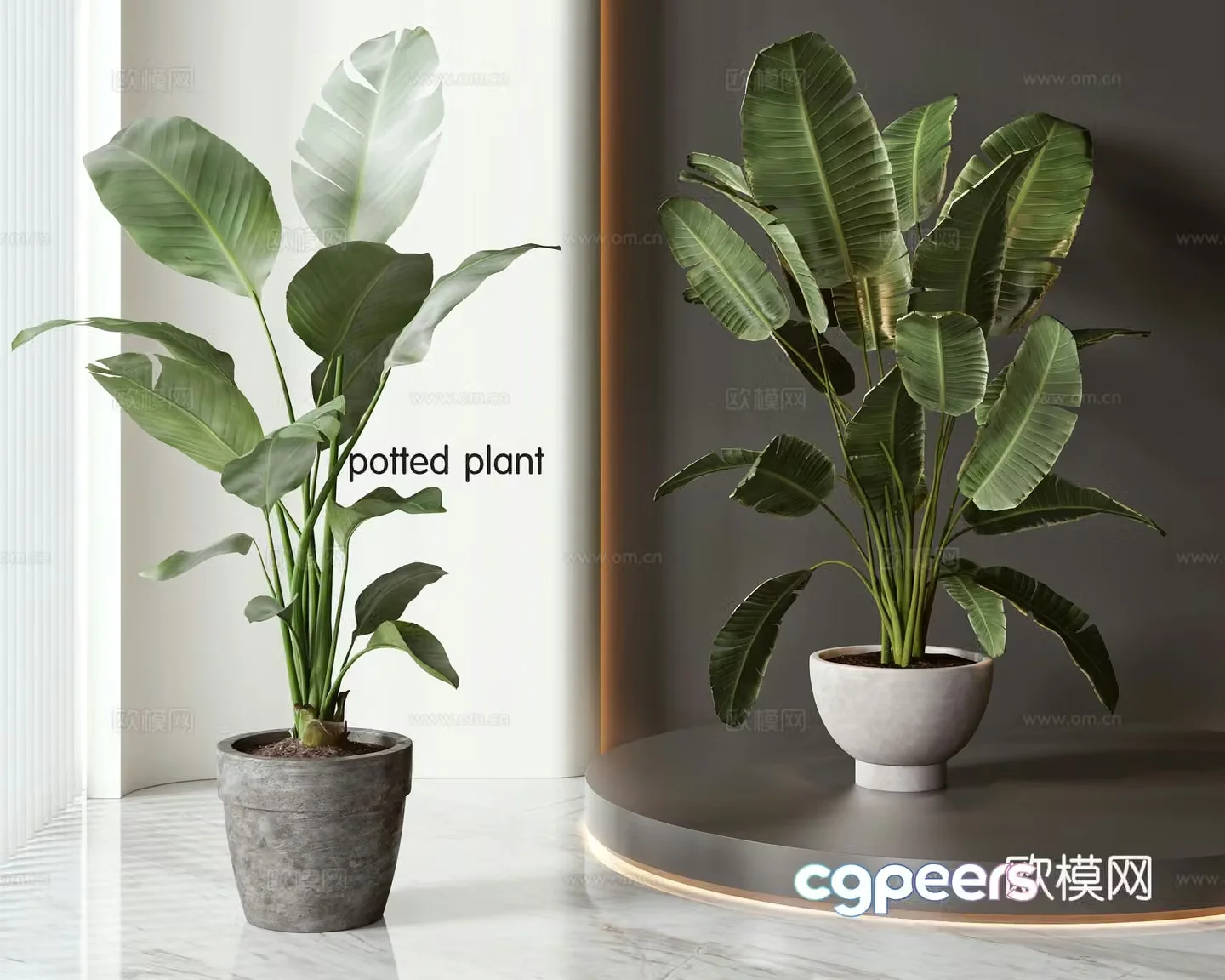Modern potted bonsai combination 3D model