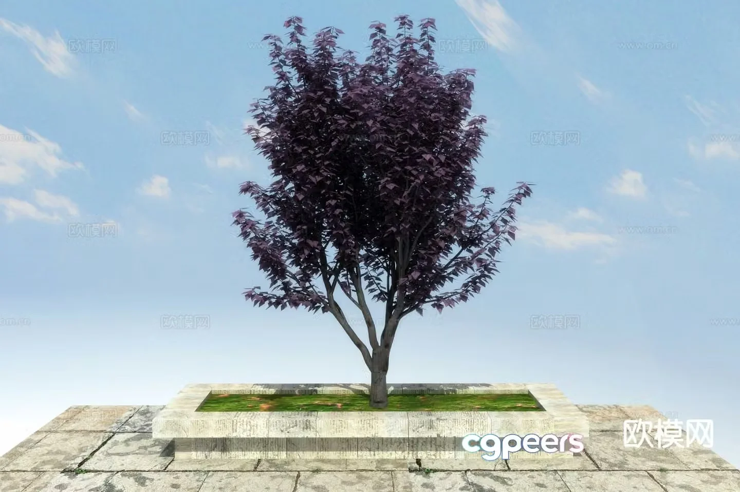 Landscape tree purple leaf plum 3d model