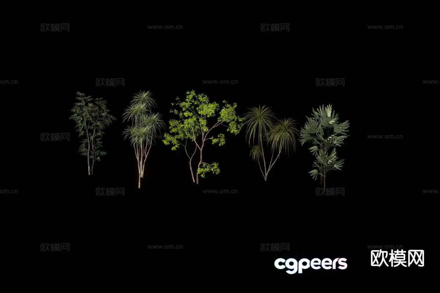Modern plants tropical tree 3d model