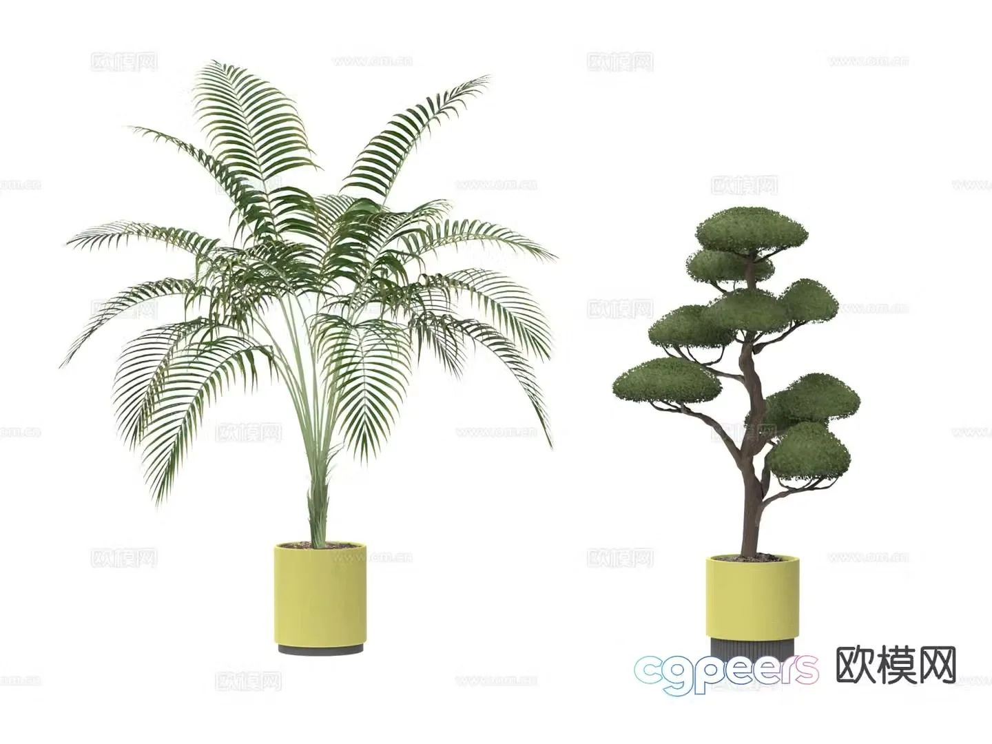 Plant potted indoor potted plant 3d model