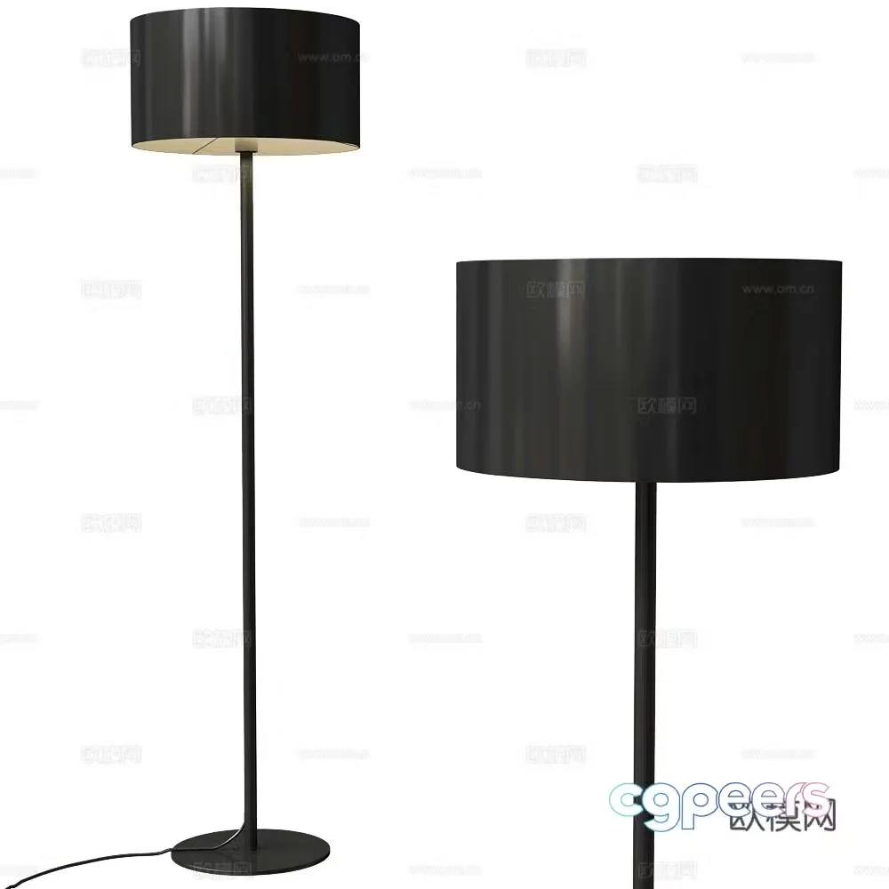 Austin Modern simple floor lamp Black floor lamp Minimalist floor lamp 3D model
