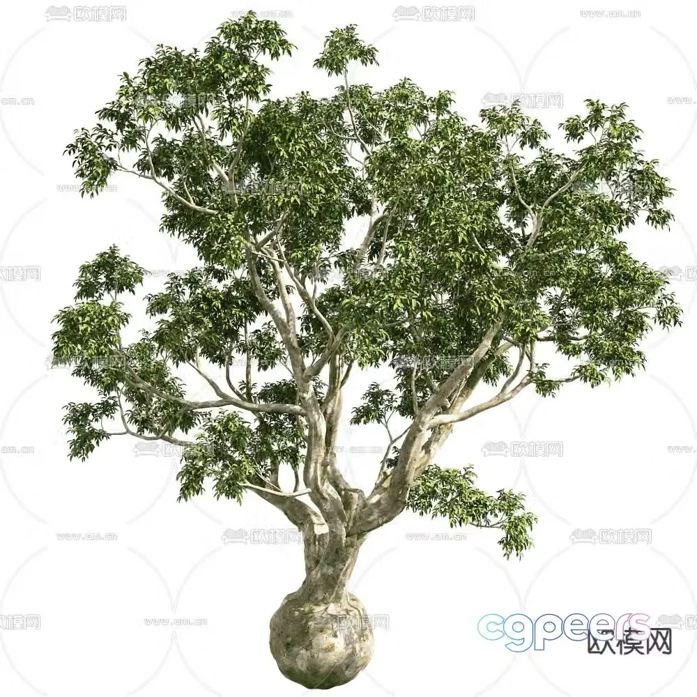 Landscape trees ornamental trees trees 3d model