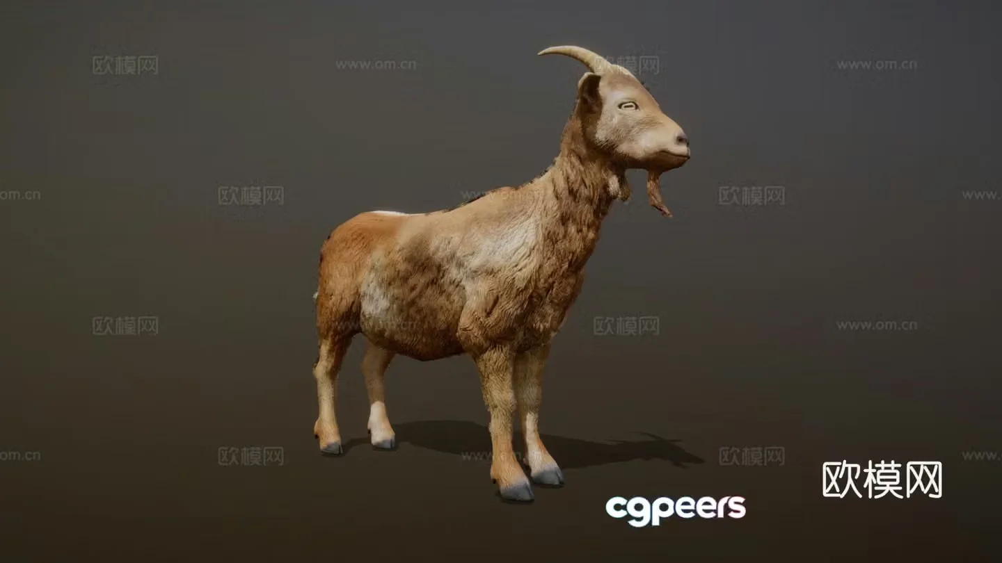 Goat animation 3d model