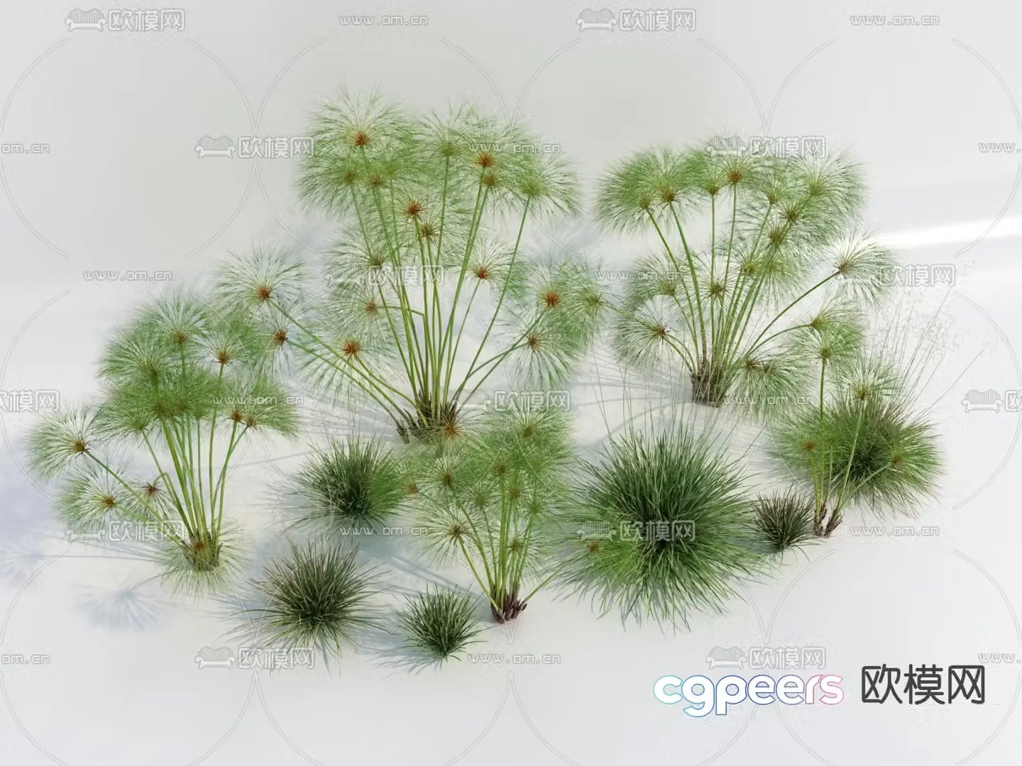 Modern Flowers and Plants 3D Model