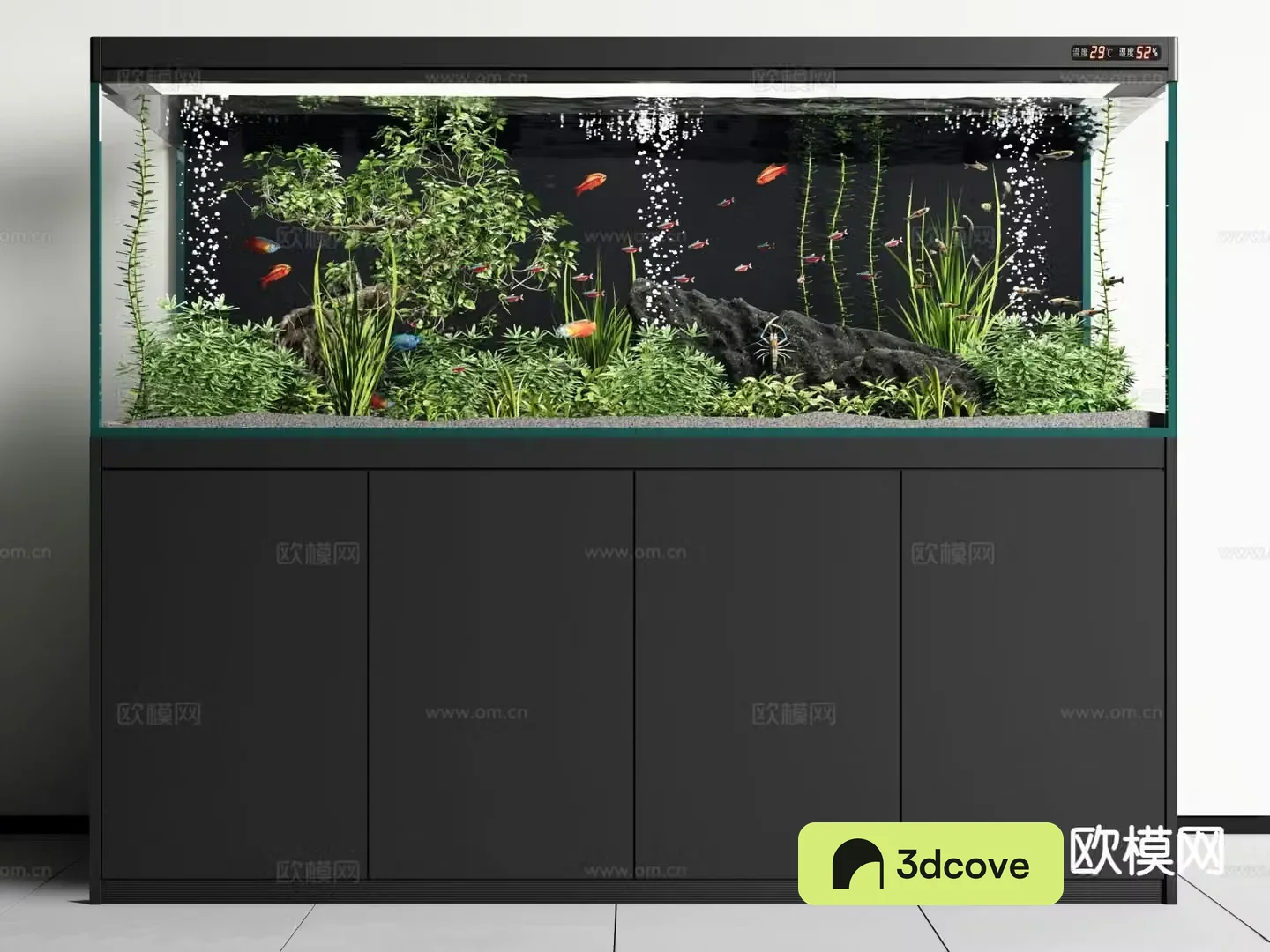 Modern fish tank aquarium
