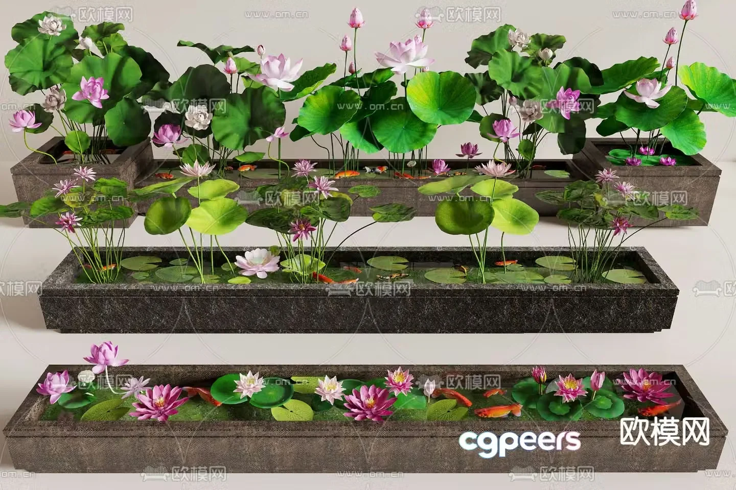 Water lily koi stone trough sink lotus pond 3d model