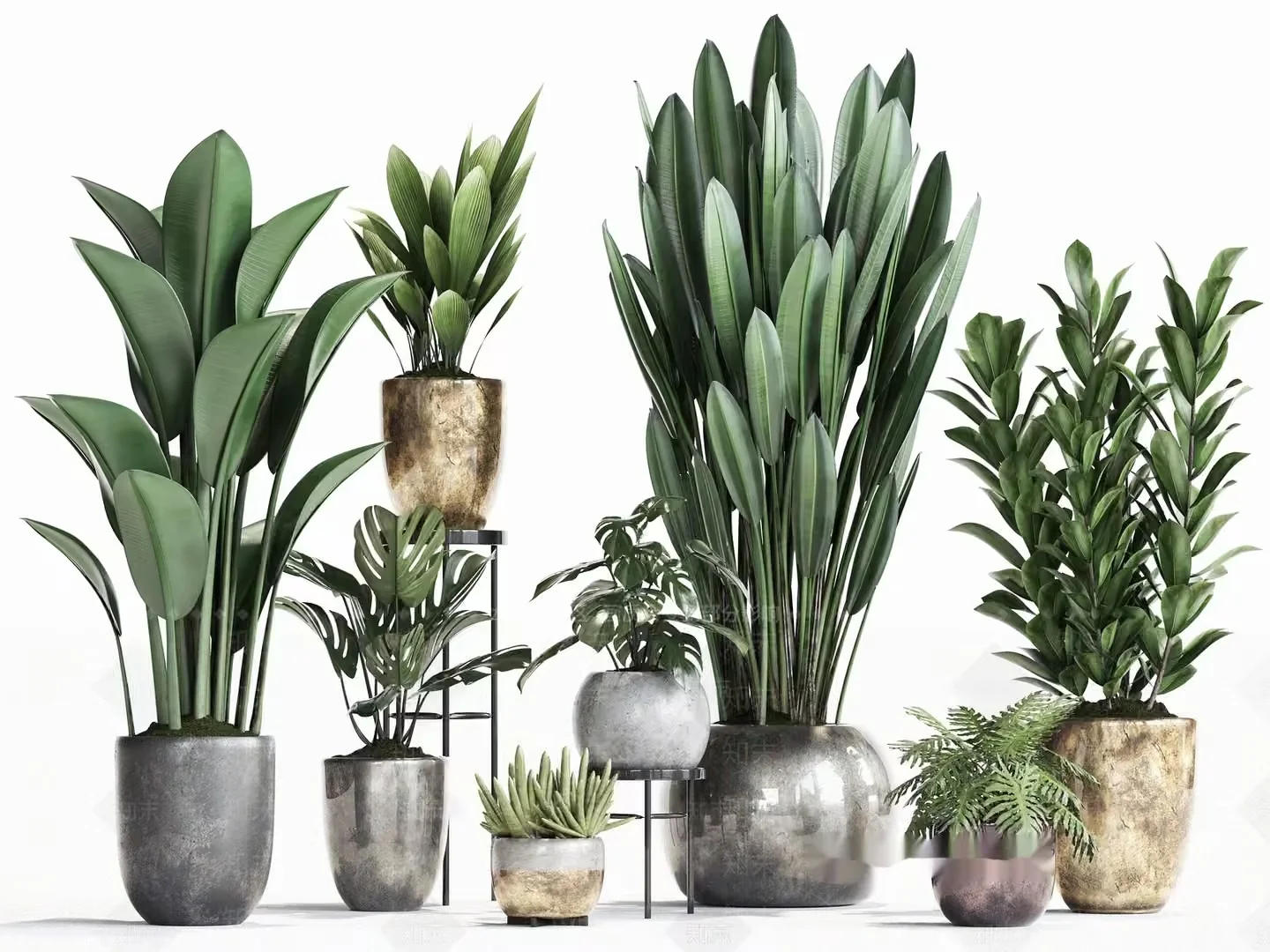 Plants In Pots 3D Model – 10659 – VRAY Render