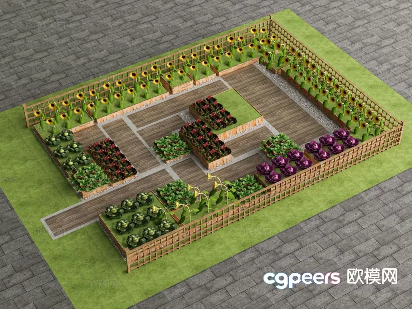 Vegetable field vegetable garden 3d model