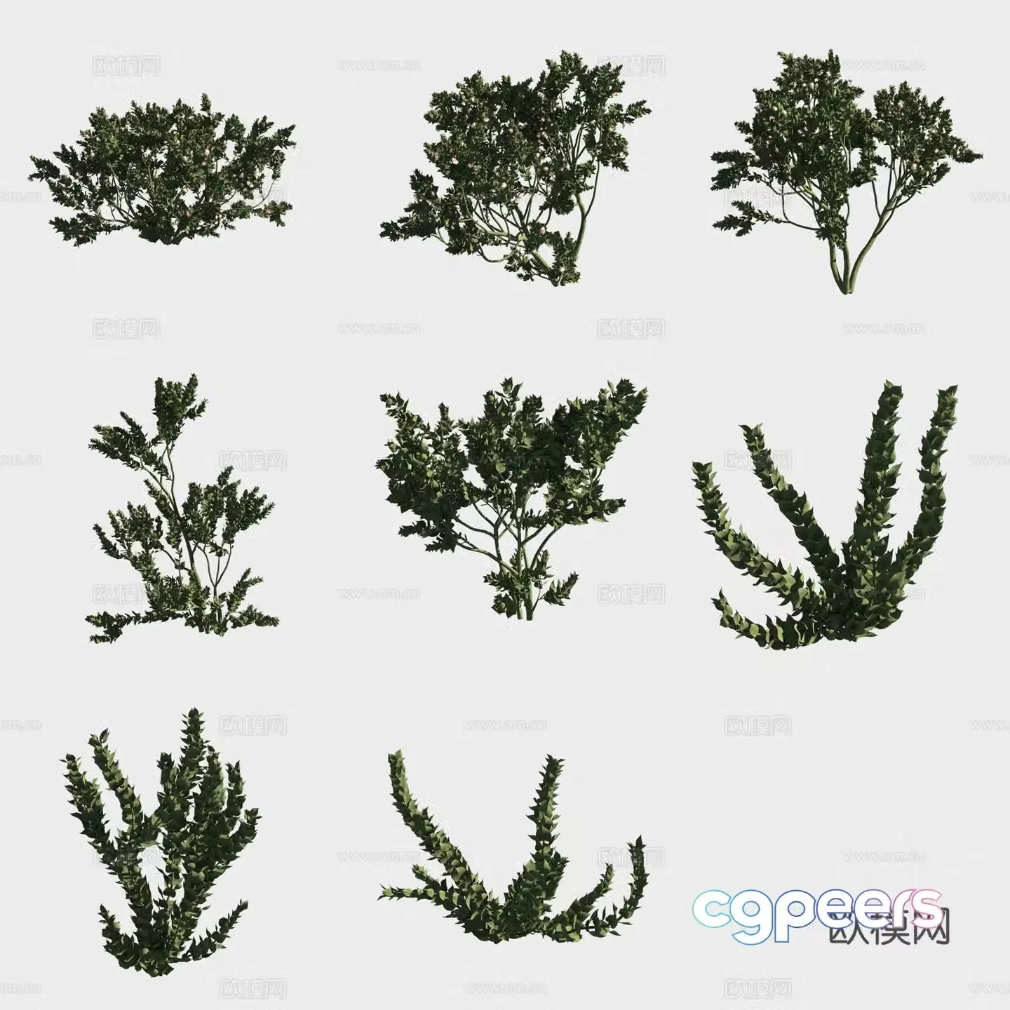 Big red flower eucalyptus small trees forest 3d model