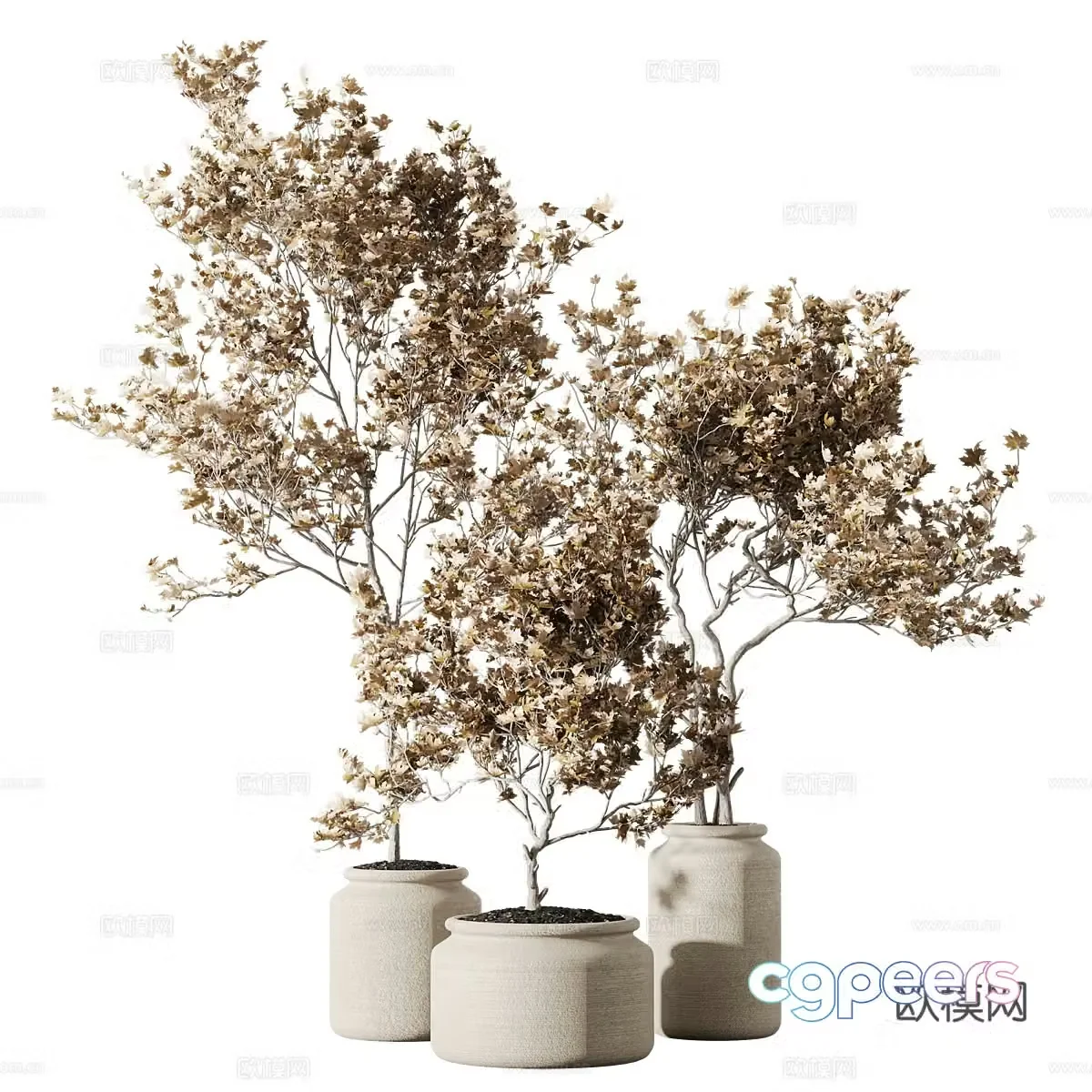 Green plant ornaments Outdoor green plants Balcony green plants Flooring Indoor green plants Potted plants Green plant potted plants 3D model