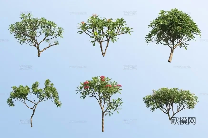 The Image Features A Collection Of Trees 3D Model – 17096 – VRAY Render