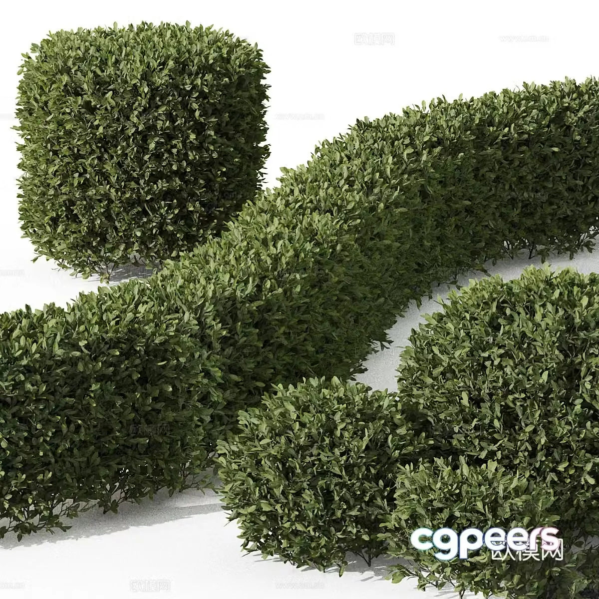 3d model of bushes