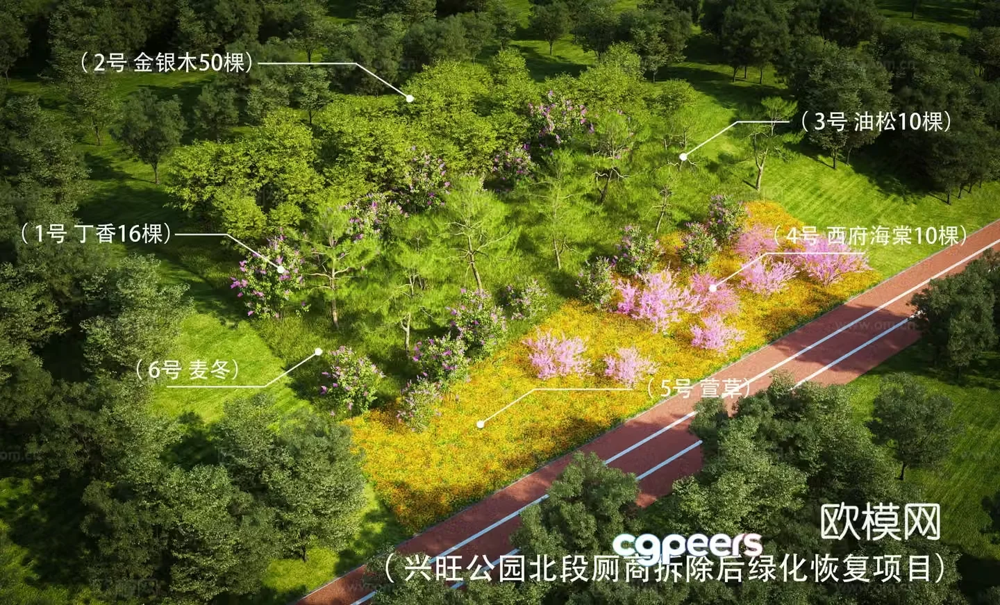 Park landscape garden landscape green vegetation 3d model