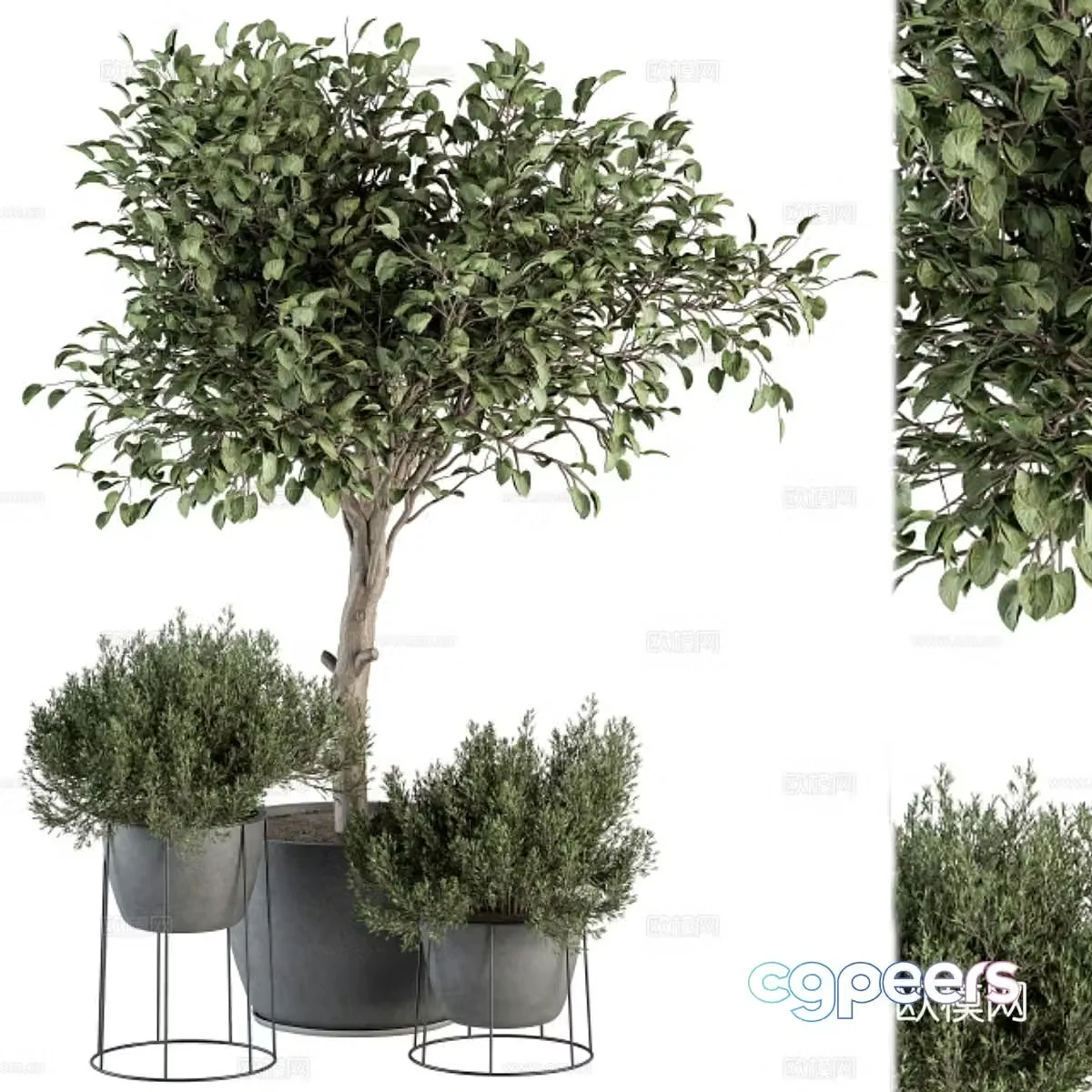 Plant pot 3d model