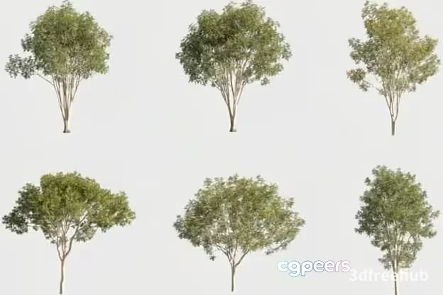 A Tree 3D Model – 21204 – VRAY Render