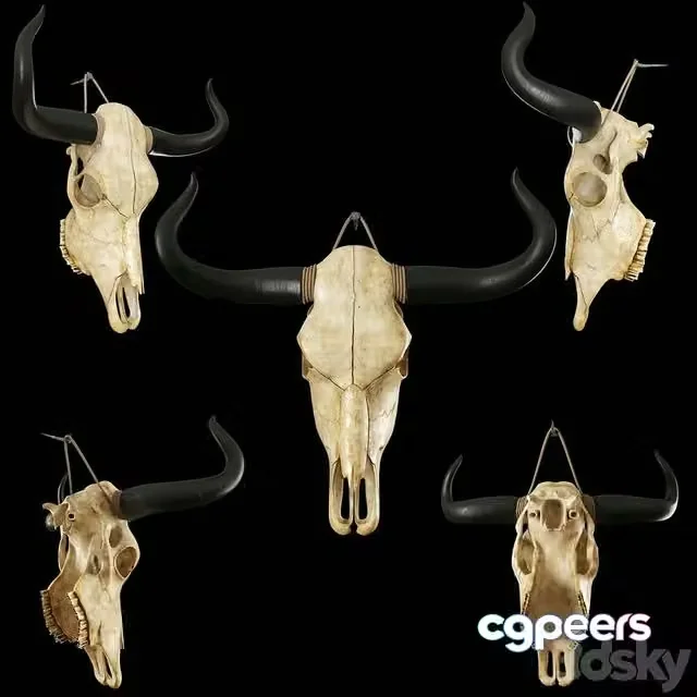 3ds Max Free – Cow skull