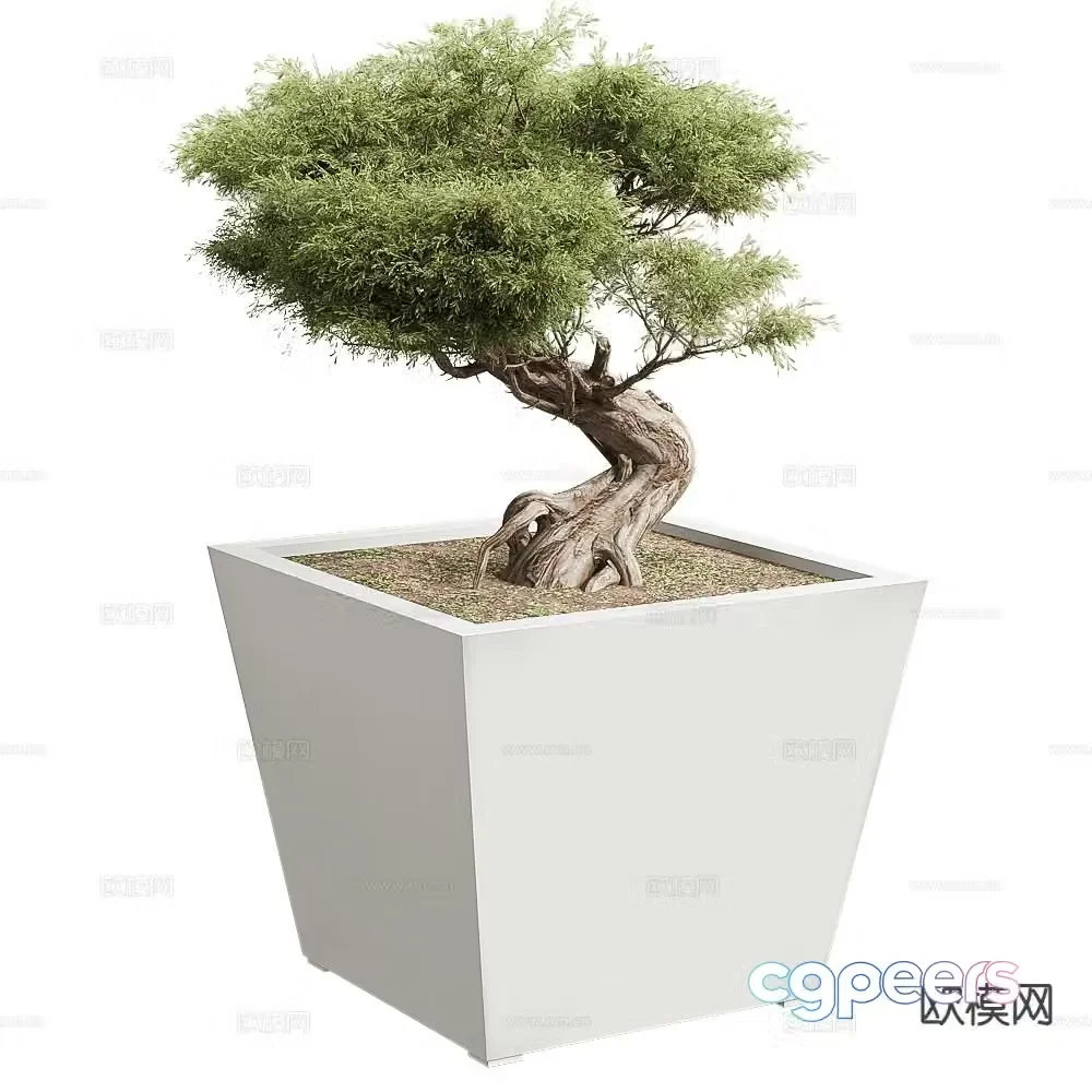 Modern plants potted 3d model
