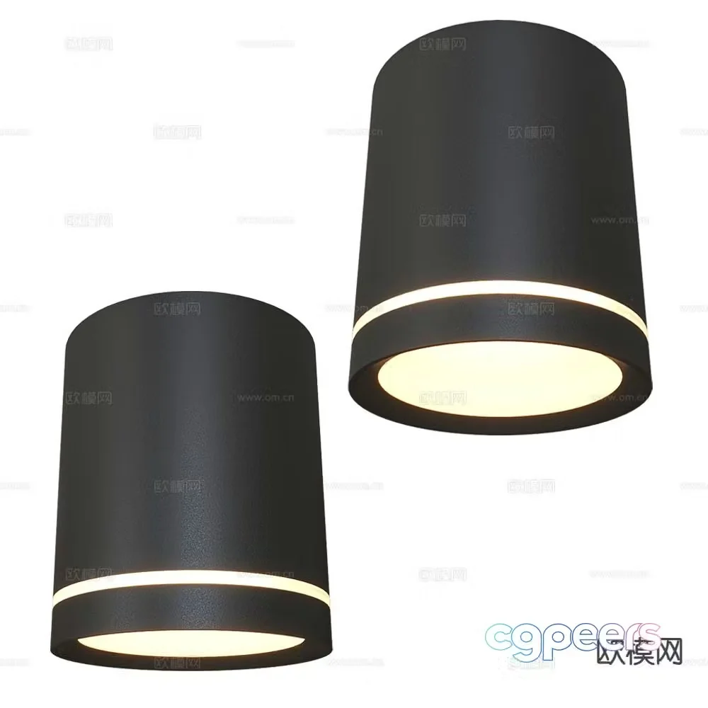 DENKIRS long downlight spotlight 3d model