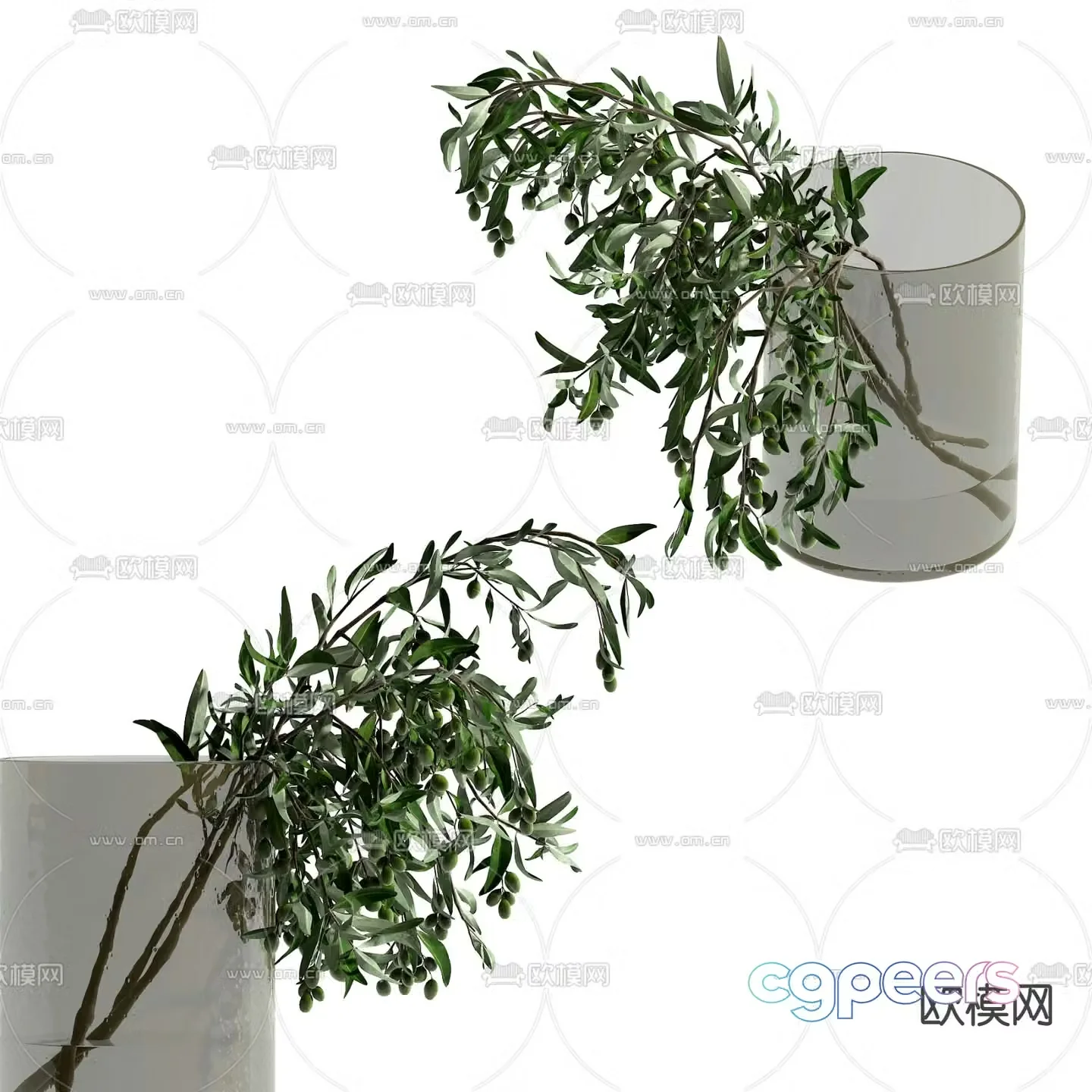 Modern plant ornaments 3d model