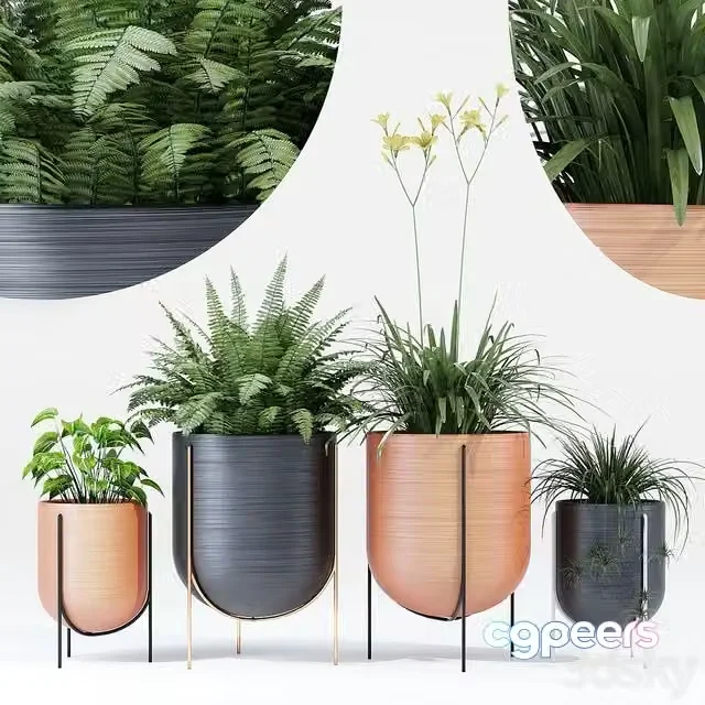 3ds Max Free – Cantaro Plant