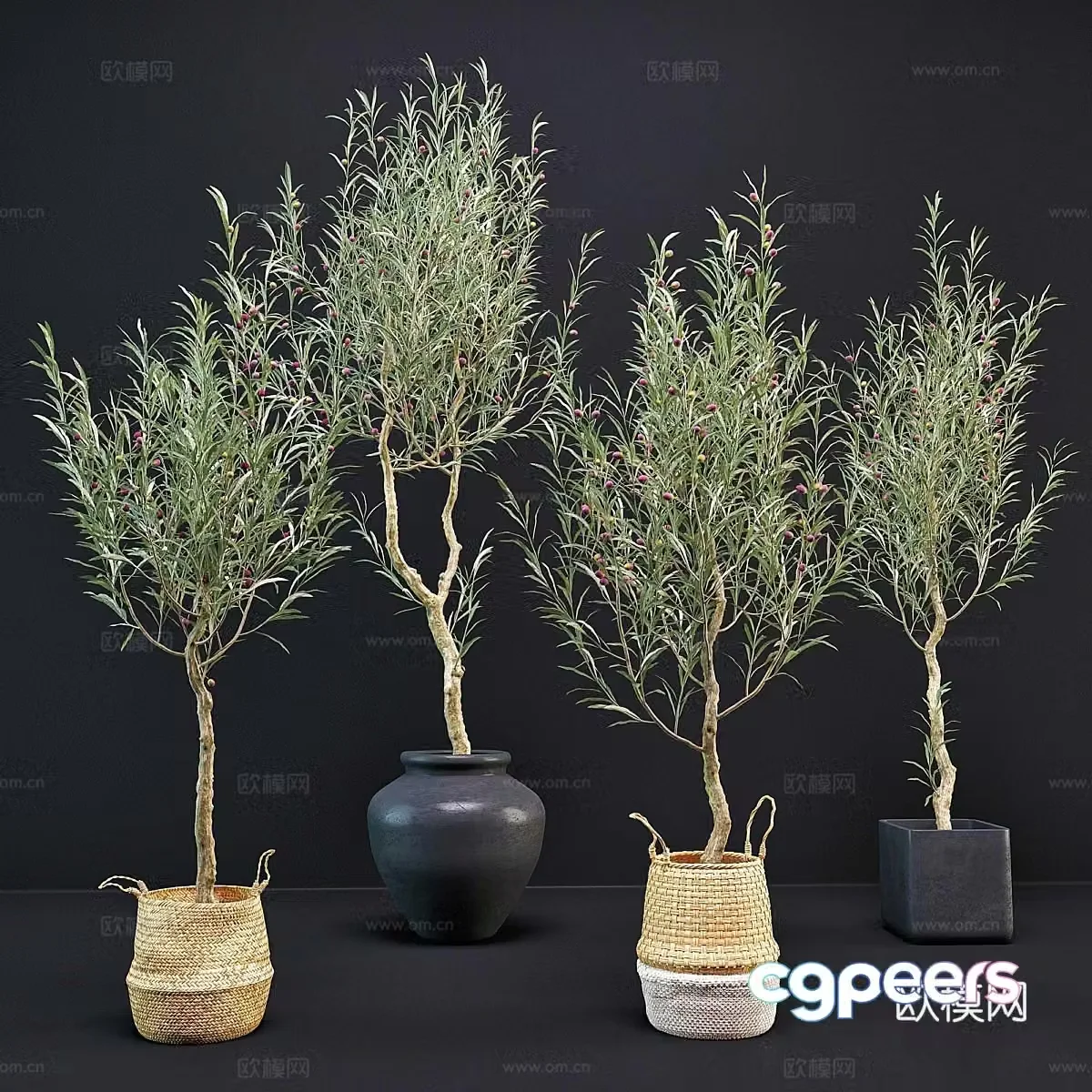 Green plant potted 3D model