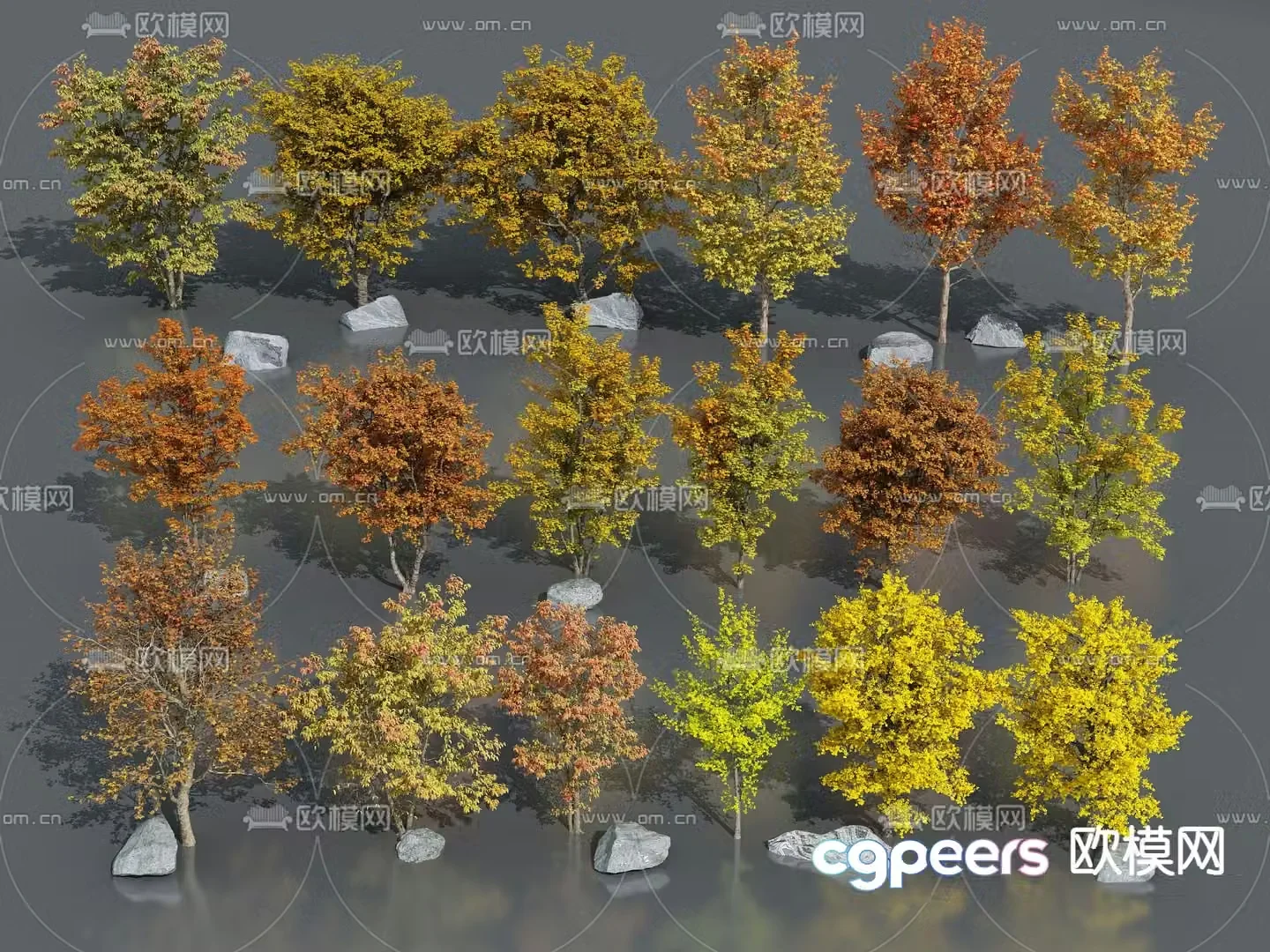 Tree Ginkgo Autumn Landscape Tree 3D Model