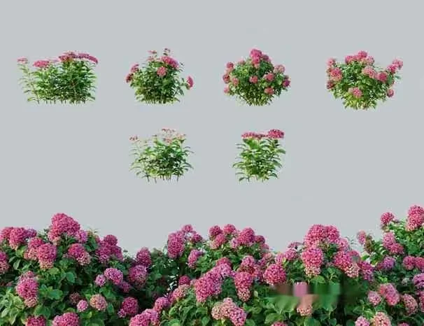 Pink Flowers 3D Model – 6274 – CORONA Render