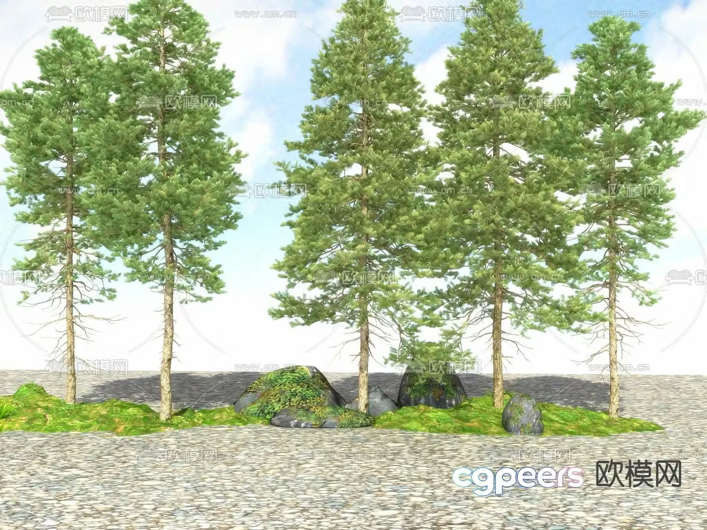 Big tree Tree Landscape tree 3d model