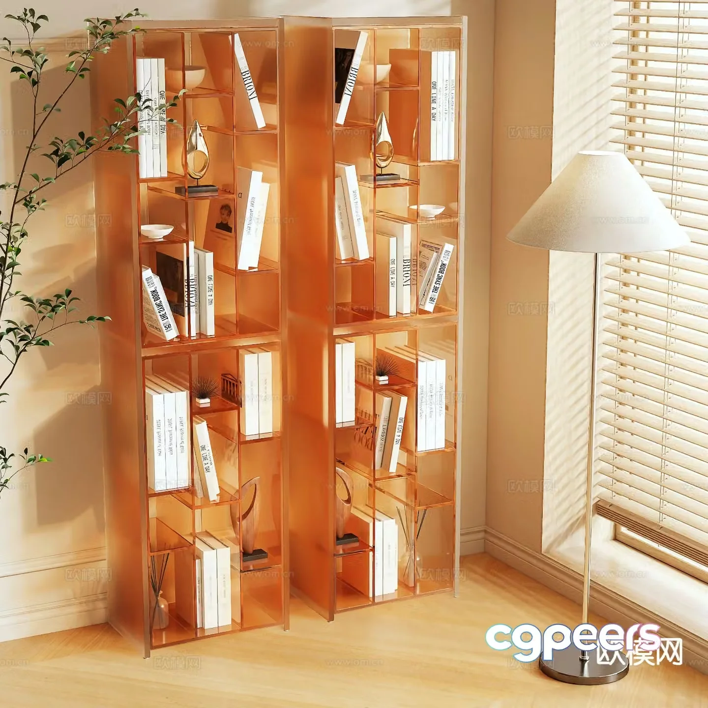 Acrylic bookshelf display rack 3d model