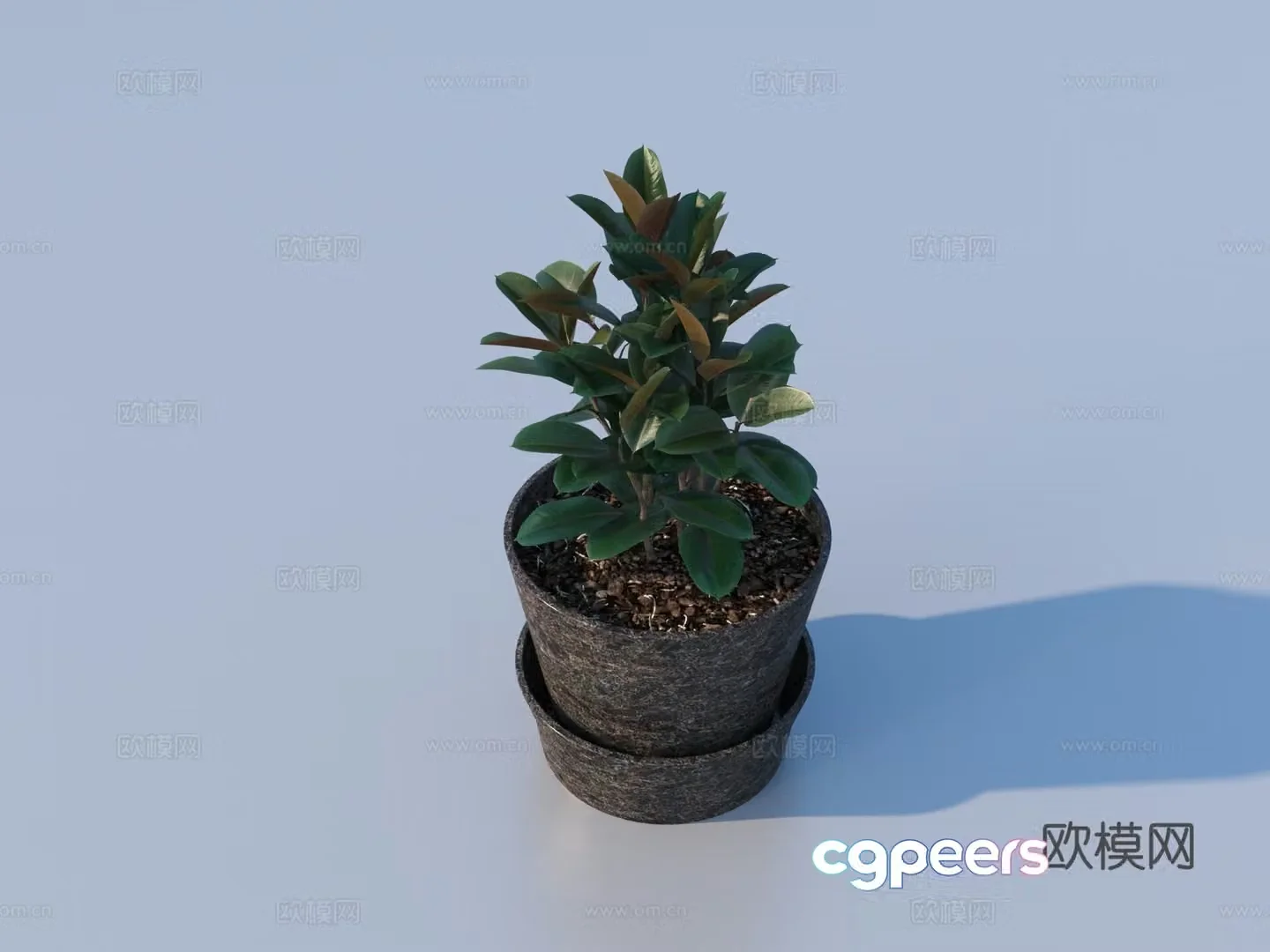 flowerpot potted plant green plant plant 3d model