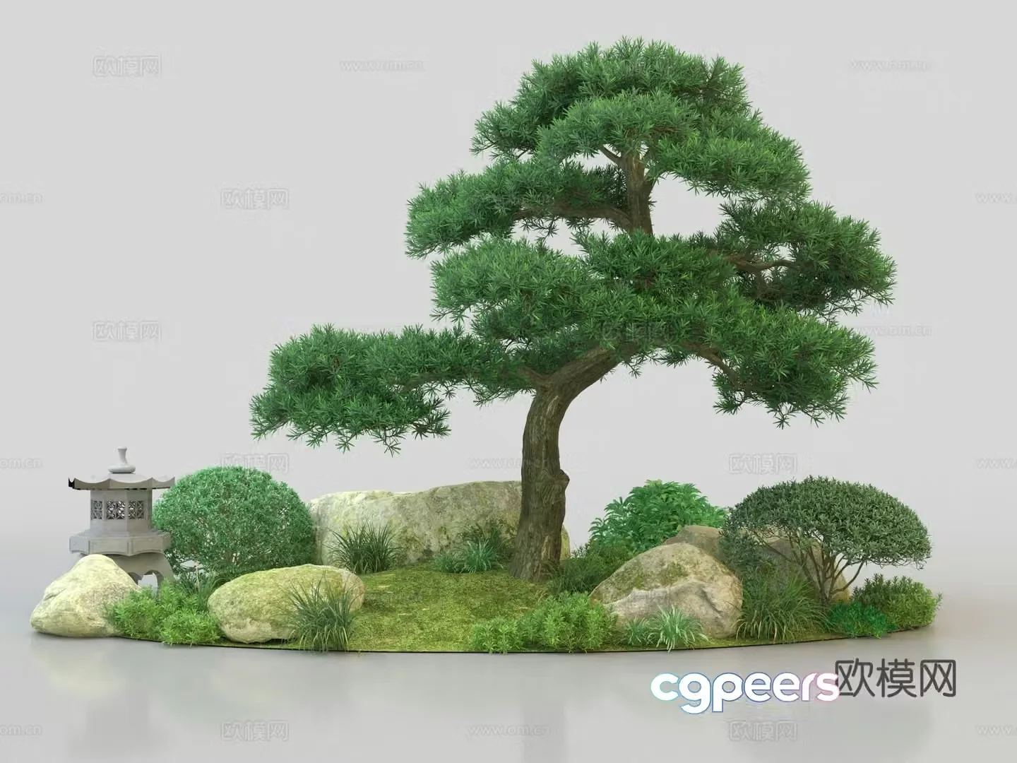 Populus Arhat Shrub Flowers and Plants Cleanup 3D Model