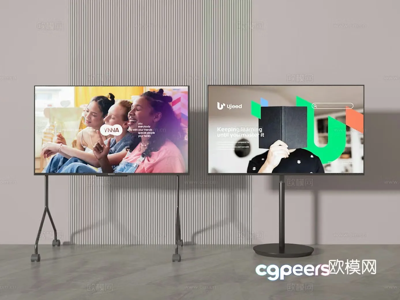 3D TV model