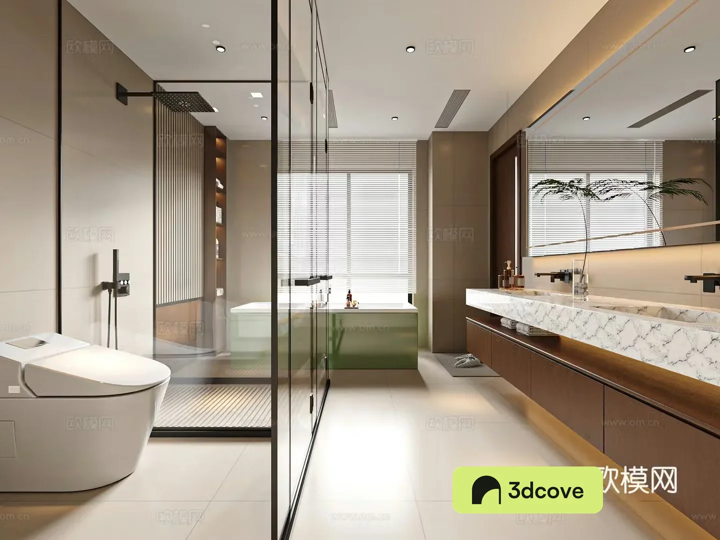 Modern medieval style bathroom dry and wet bathroom