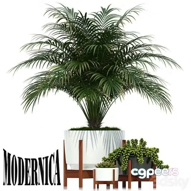 3ds Max Free – Plants collection 68 Modernica pots
