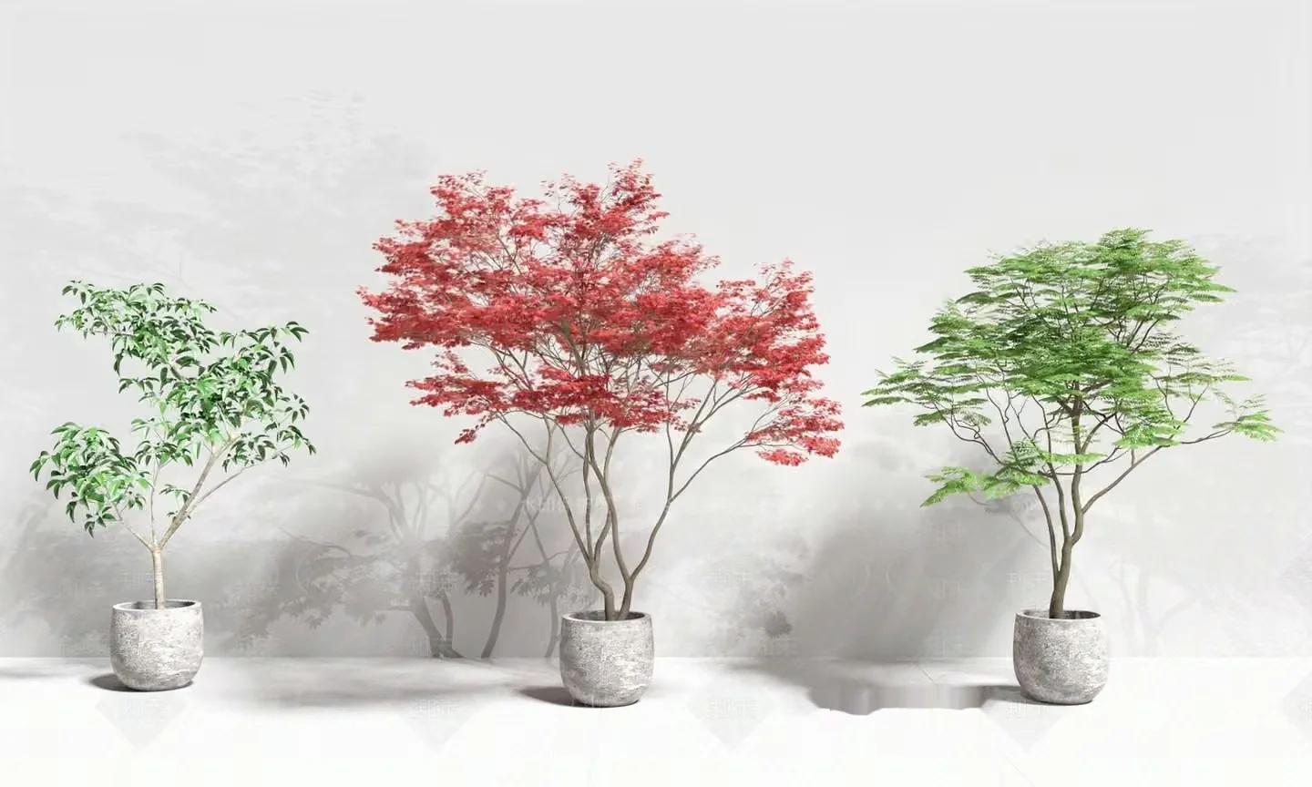 A Potted Tree With Red Leaves 3D Model – 18192 – VRAY Render