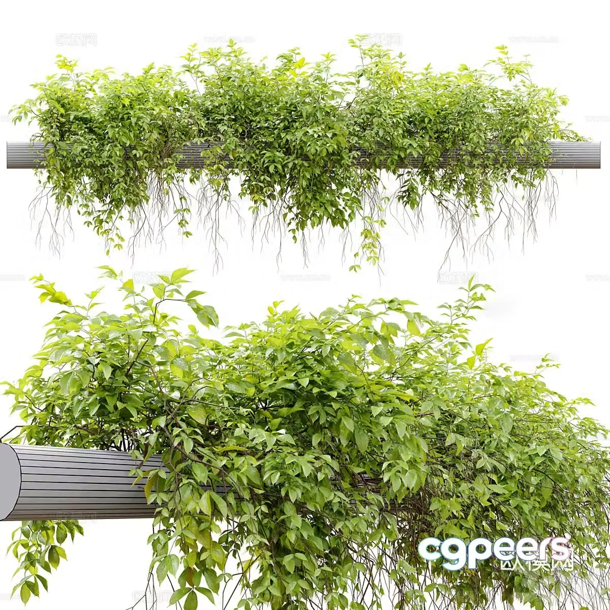 Vine Man hanging basket hanging plant 3d model