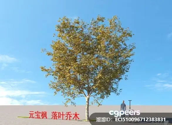 A Tree In A Desert 3D Model – 4197 – VRAY Render