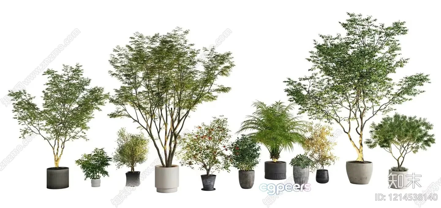 Potted Plants 3D Model – 10630 – VRAY Render
