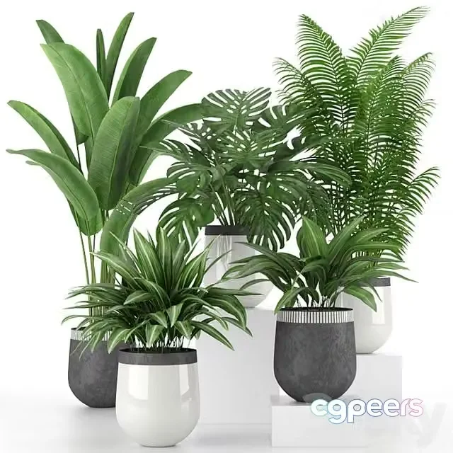 3ds Max Free – Houseplant Collection 03