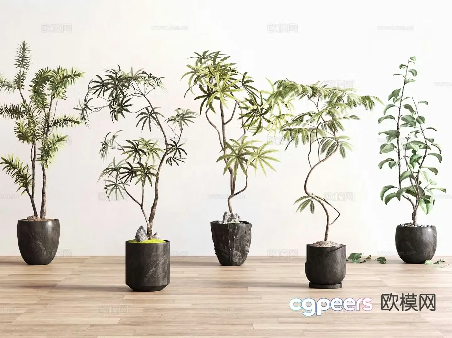 Houseplant green plant potted plant 3d model